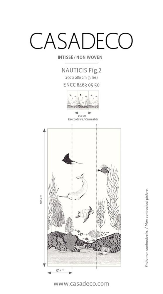 詳細 NAUTICIS FIG2