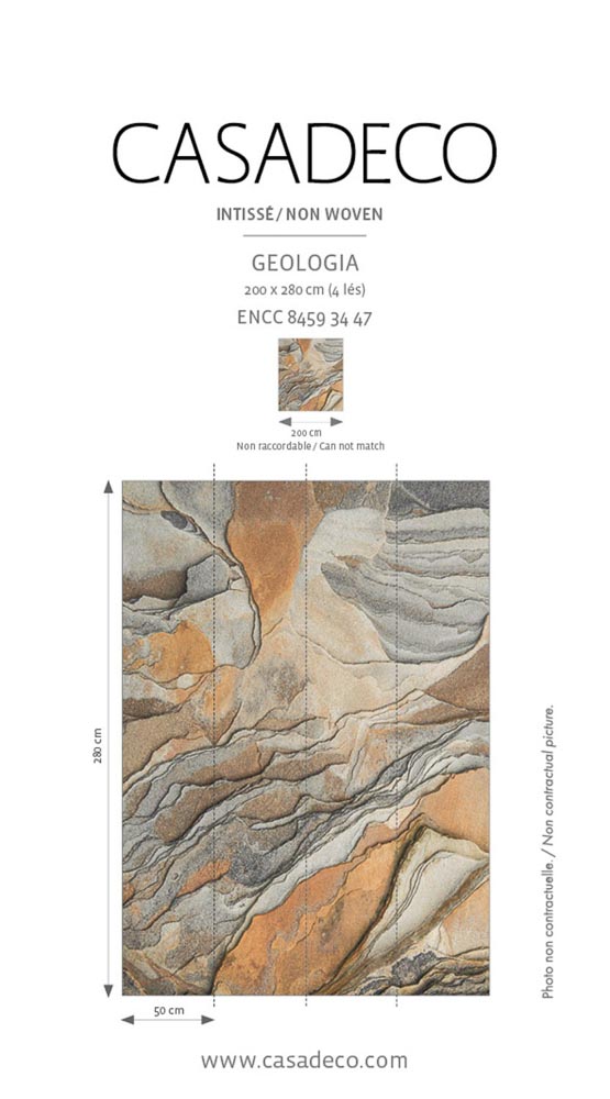 詳細 GEOLOGIA