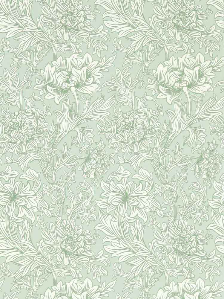 Chrysanthemum Toile 217069